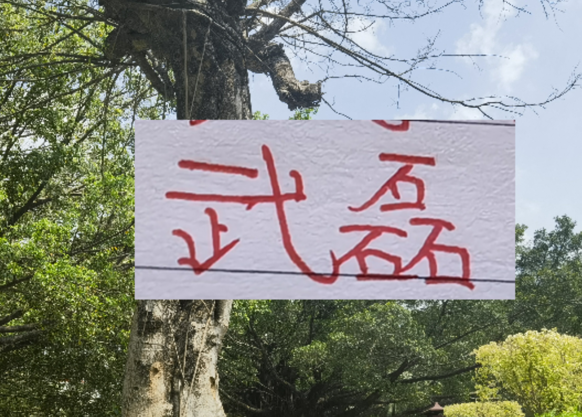 开云体育官方入口-2月海港就要打亚冠比赛 大概率武磊+莱昂纳多 这些一哥上不了